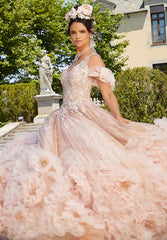 Valentina Quinceañera Dress #34041
