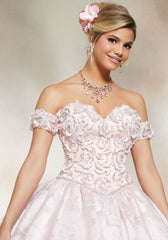 Vizcaya Quinceañera dress #89232