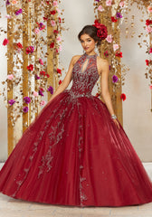 Vizcaya Quinceañera dress #289236