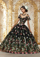 Vizcaya Quinceañera dress #89238