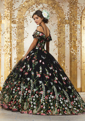 Vizcaya Quinceañera dress #89238