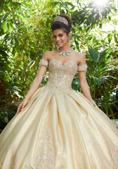 Vizcaya Quinceañera dress #89242