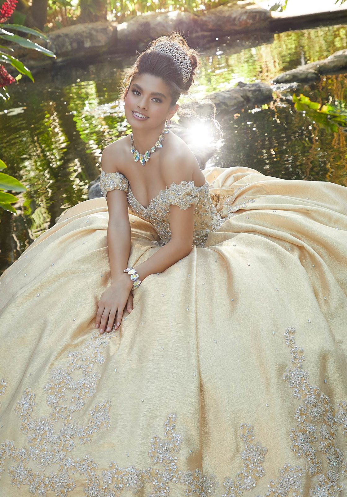 Vizcaya Quinceañera dress #89242