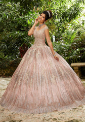 Vizcaya Quinceañera dress #89243