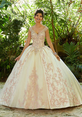 Vizcaya Quinceañera dress #89245