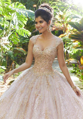 Vizcaya Quinceañera dress #89246