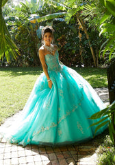 Vizcaya Quinceañera dress #89254