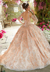 Vizcaya Quinceañera dress #89261
