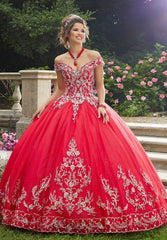 Vizcaya Quinceañera dress #89275