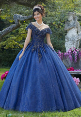 Vizcaya Quineañera dress #89276
