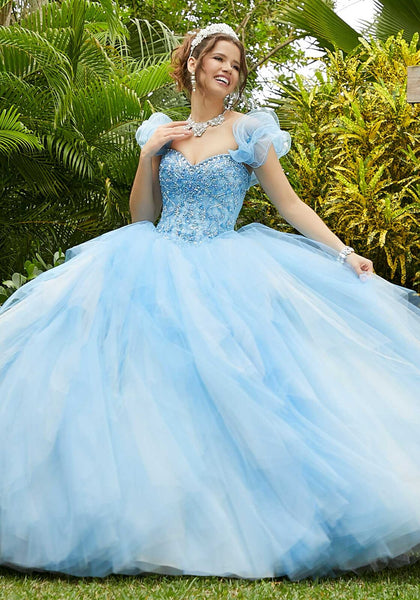 Vizcaya Quinceañera dress #89283
