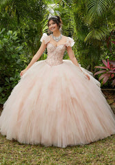 Vizcaya Quinceañera dress #89283