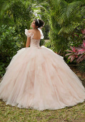 Vizcaya Quinceañera dress #89283