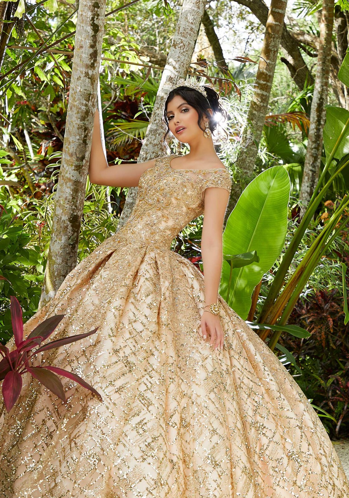 Vizcaya Quinceañera dress #89287