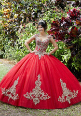 Vizcaya Quinceañera dress #89288