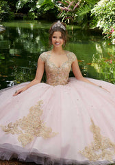 Vizcaya Quinceañera dress #89288