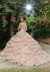Vizcaya Quinceañera dress #89296