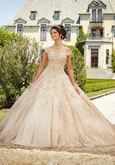 Vizcaya Quiceañera dress #89302
