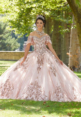 Vizcaya Quinceañera dress #89304